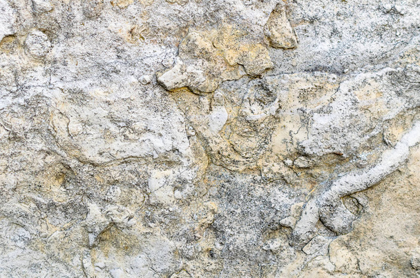 Estructura de una losa de piedra caliza
 - Foto, Imagen