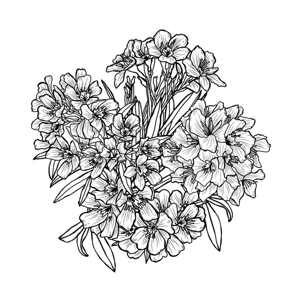 hand drawn floral decoration - Vektör, Görsel