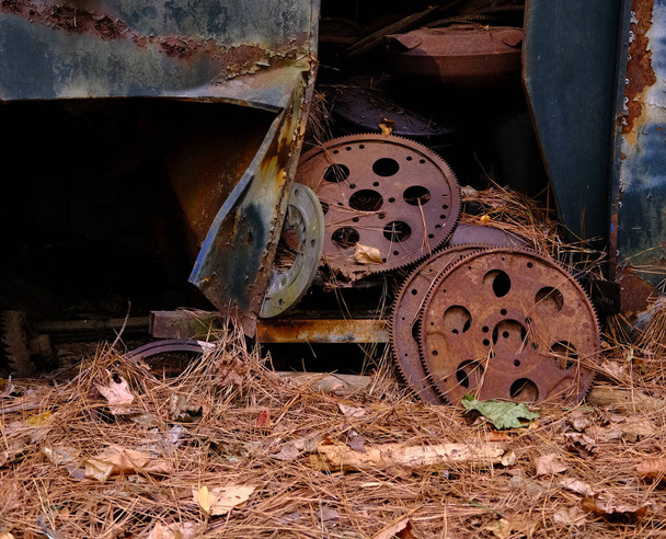 Engranajes oxidados en los bosques
 - Foto, Imagen