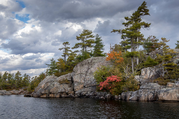 colourful leaves at Beausoleil Island, Ontario, Canada - Фото, изображение