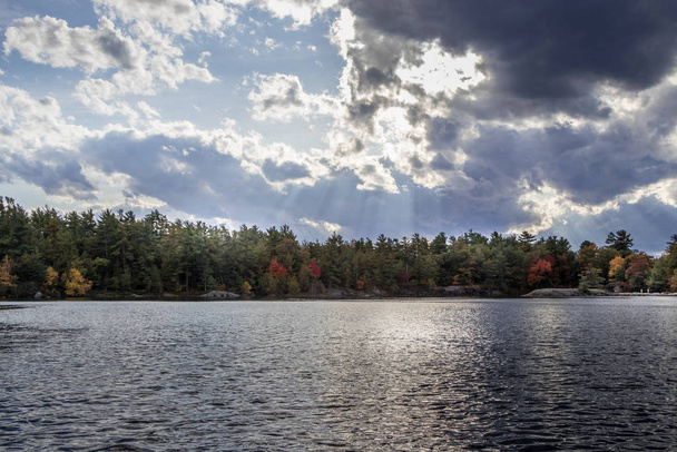 Podzim u jezera - Fotografie, Obrázek