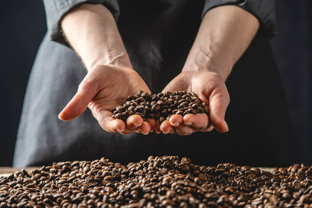 Mãos com grãos de café perfumados. Uma pilha de grãos arábica assada. Seleção de café fresco para café expresso - Foto, Imagem