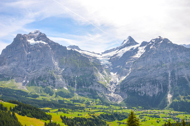 Καλοκαιρινό αλπικό τοπίο γύρω από το χωριό Grindelwald στην Ελβετία. Από το μονοπάτι που οδηγεί στη λίμνη Μπάχαλπσι. Χωριό στην κοιλάδα των Άλπεων που περιβάλλεται από δάση και χιονισμένα βουνά - Φωτογραφία, εικόνα