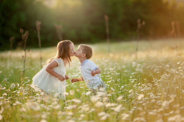 Τα παιδιά ένα αγόρι και ένα κορίτσι αγκαλιάζονται και φιλιούνται φιλικά σε ένα ανθισμένο χωράφι με φόντο τα λοφώδη βουνά. - Φωτογραφία, εικόνα