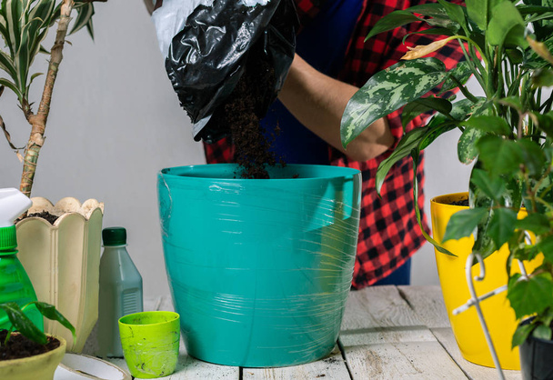 Filling a plant pot with soil and replanting plants - Valokuva, kuva
