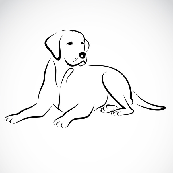 犬のラブラドールのベクトル画像 - ベクター画像