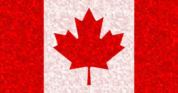 4k Canadian flag - seamless looping shiny animation background. Festive red maple leaf on white grey. Animated luxury premium wallpaper. Sparkle diamond slowly random moving. Crystallic geometric bg - Footage, Video