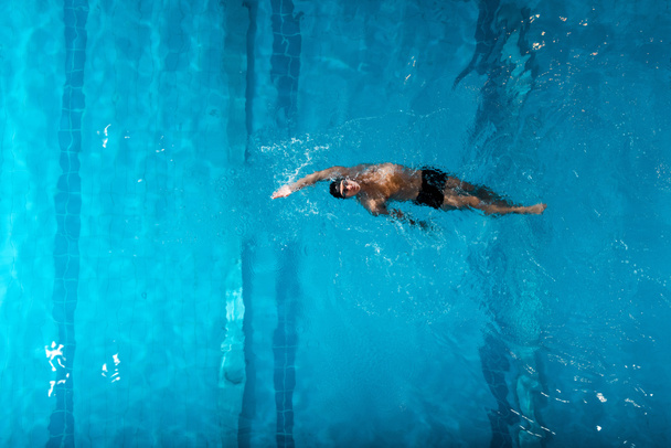水泳プールで背泳ぎをしているハンサムな水泳のトップビュー  - 写真・画像