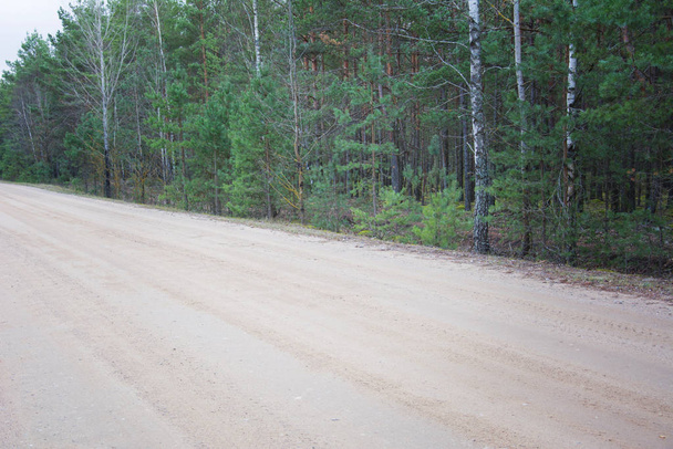 Forest dirt muddy road. Sandy country road in wood. - Φωτογραφία, εικόνα