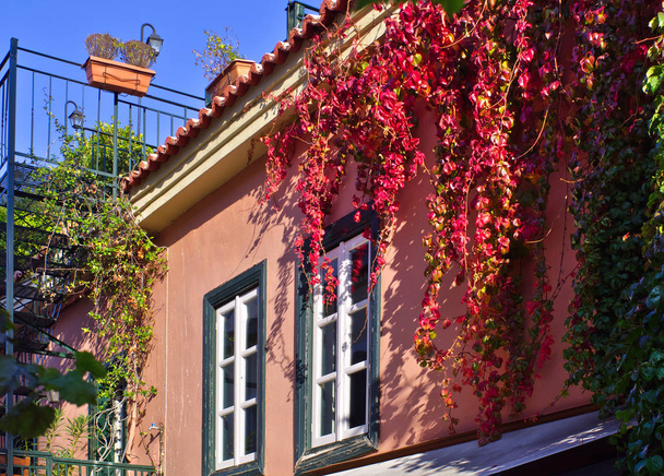 Red leaves climbing plant on neoclassical old  house facade. Classical architecture building with pink wall and white windows. Anafiotika, Athens, Greece. - Photo, Image