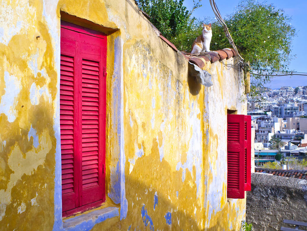 Weathered house wall, Anafiotika, Plaka, in Athens, Greece. Cat sits on old house tiled roof. Yellow aged textured wall with wooden red window shutters. - Photo, Image