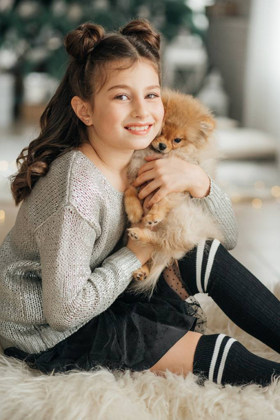 Küçük kız Pomeranya Spitz köpeğiyle Noel 'de poz veriyor. - Fotoğraf, Görsel