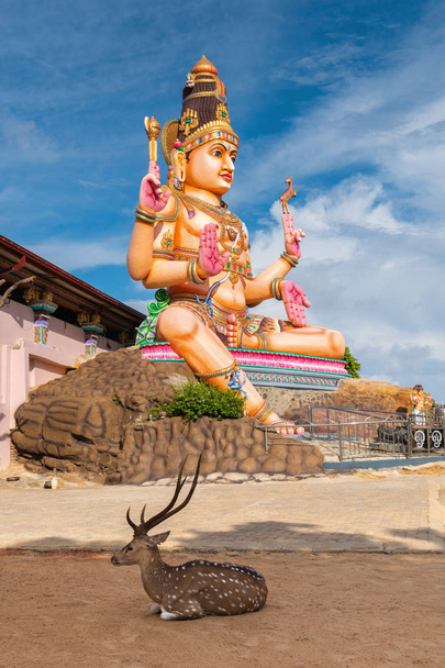 Cerf sacré à côté de la sculpture de Bouddha devant un temple hindou, Sri Lanka
 - Photo, image