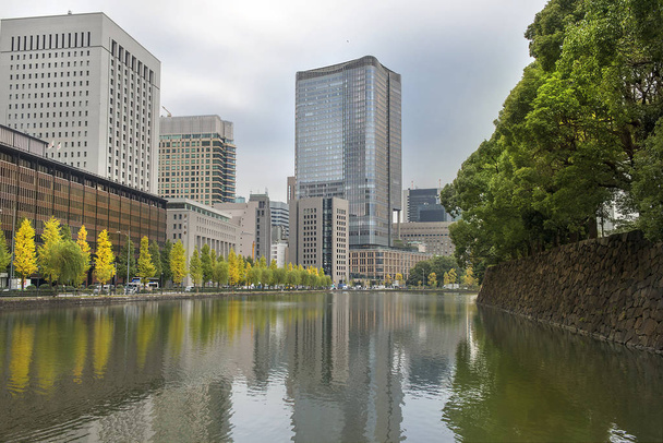 view of the central business district of Tokyo from a city public park - Photo, Image