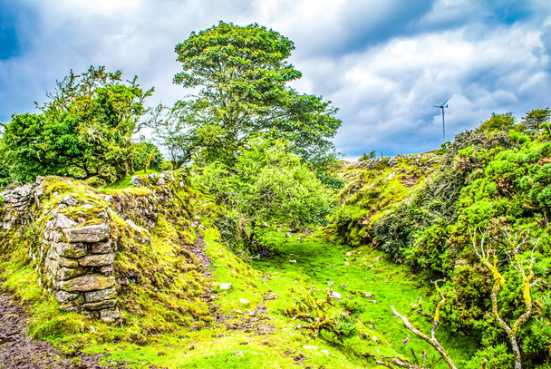 Bodmin Moor, Cornwall 'daki bir vadiye giden patika. - Fotoğraf, Görsel