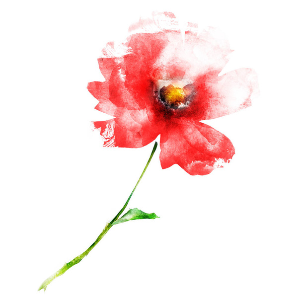 Watercolor flower isolated on white. Silhouette  - Foto, Imagem