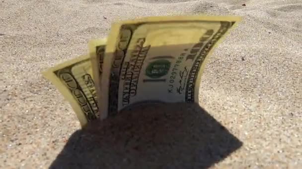 Geld dolars half bedekt met zand liggen op strand close-up. - Video