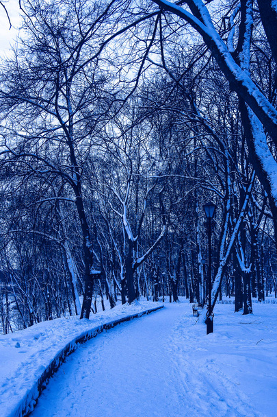 Sneeuw bedekt pad in het Park - Foto, afbeelding