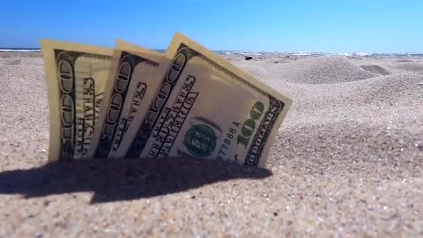 Geld dolars half bedekt met zand liggen op strand close-up. - Video