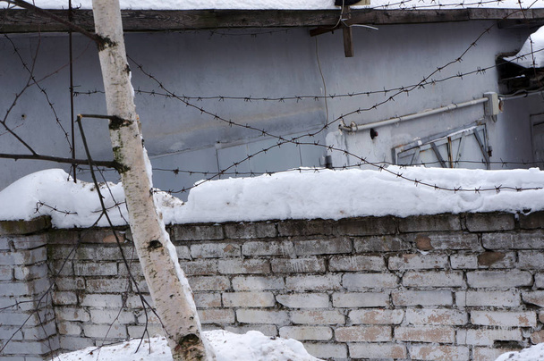 prikkeldraad en sneeuw op stenen hek. - Foto, afbeelding