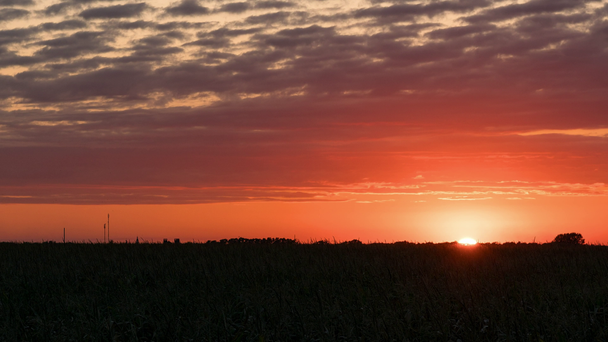トウモロコシ畑での日没の時間の経過、草原での日没、草原での日没、フィールド上での赤い太陽、フィールド上での朝の太陽ハイパー・ラプス - 映像、動画