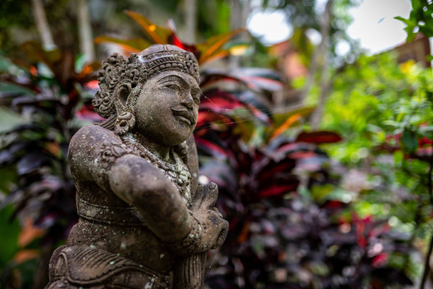 Statue of a warrior and blurred vegetation background, Bali, Ind - Photo, Image