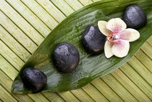 environnement de bien-être avec pierres noires et orchidée
 - Photo, image
