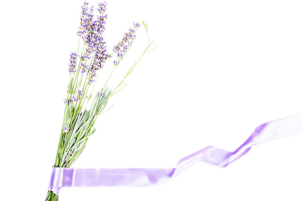 Huile à base de plantes et fleurs de lavande bouquet fleurs lavandula angustifolia fond blanc. Huile essentielle de lavande biologique
  - Photo, image