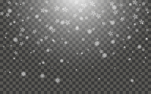 Sneeuwvlokken en vallende sneeuwvlokken - Vector, afbeelding