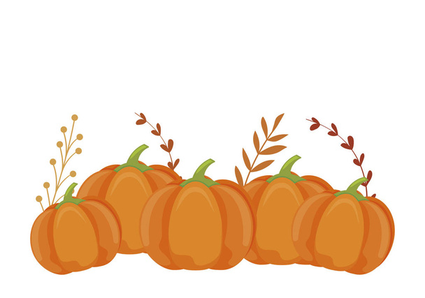 Geïsoleerde herfst pompoenen en bladeren vector ontwerp - Vector, afbeelding