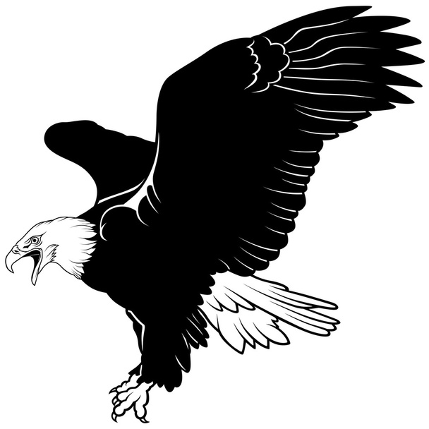 Bald Eagle - Vector, imagen