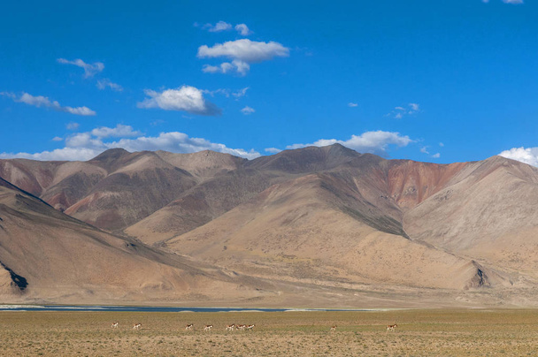 Rode bergen bij Tsokar Lake, Ladakh, India - Foto, afbeelding