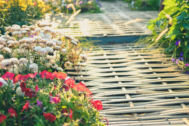 Çiçek bahçesinde yürüyüş yolu - Fotoğraf, Görsel