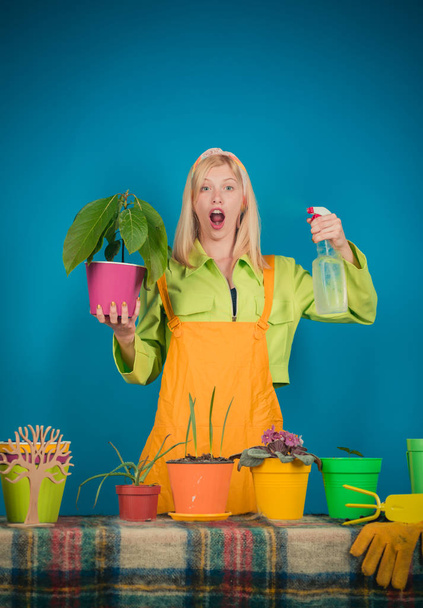 Smiling woman holds flower in pot. Lifestyle interest hobby. Portrait of her she nice-looking attractive lovely sweet gorgeous pretty cheerful cheery girl holding in hands flowers. Irrigation. - Fotoğraf, Görsel
