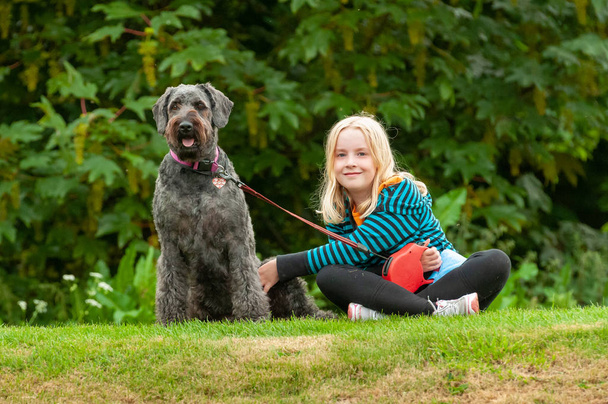 Досить молода блондинка робить зоровий контакт, сидячи на траві з добре поводився чорний лабрадодл собака на повідку
 - Фото, зображення