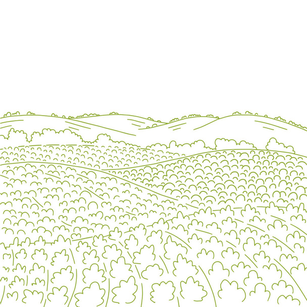 Rural fields landscape. Countryside landscape fields hills. Growing vegetables garden rows. Agriculture farming. Landscape ink vector sketch line drawing. Copy space. - Vector, Image