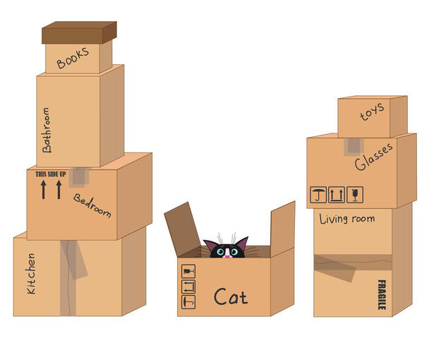 Many of empty volumetric boxes for moving with a cat with inscri - Vector, Image