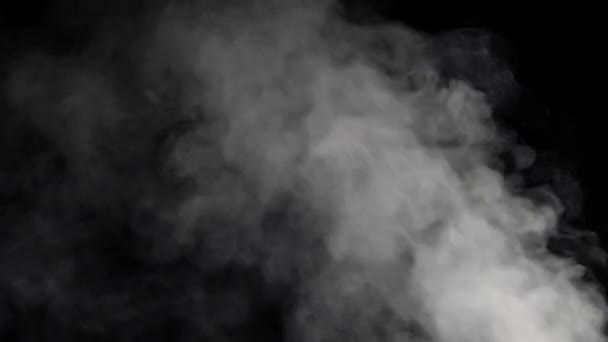 Fumée blanche abstraite sur fond noir - Séquence, vidéo