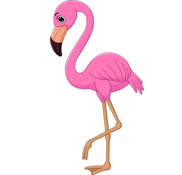 Vector illustration of Cartoon flamingo on white background - Vector, Image