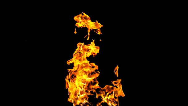 Tulipalot mustalla taustalla. tulipalo mustalla pohjalla isolaatti
 - Valokuva, kuva
