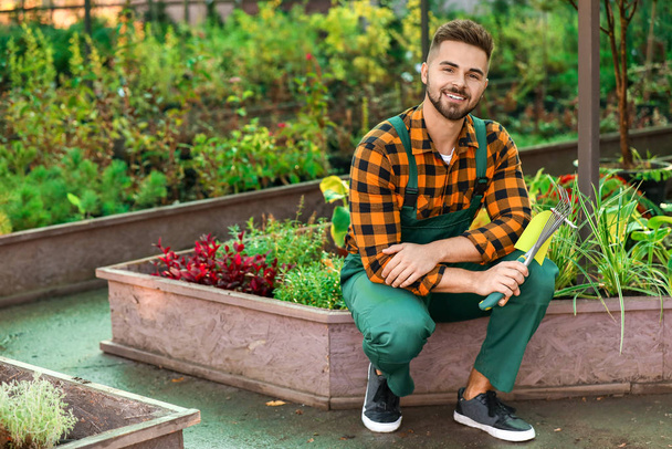 Jardinier masculin avec outils en serre
 - Photo, image