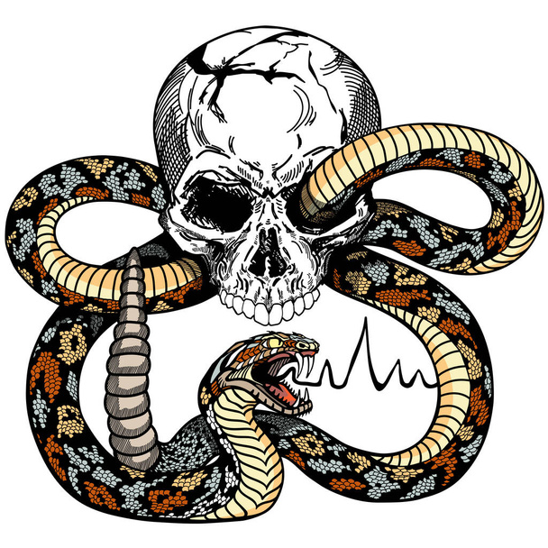 Ανθρώπινο κρανίο και τατουάζ φίδι - Διάνυσμα, εικόνα