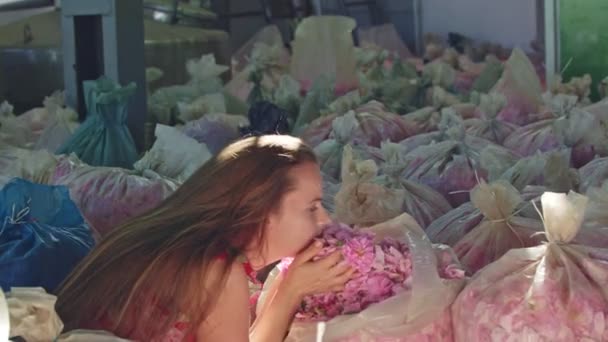 Lány hosszú haj illata rózsaszín rózsaszirmok átlátszó zsák. - Felvétel, videó