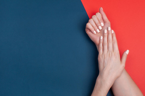 Hermosas manos femeninas con una manicura clásica sobre un fondo azul-rojo
. - Foto, Imagen