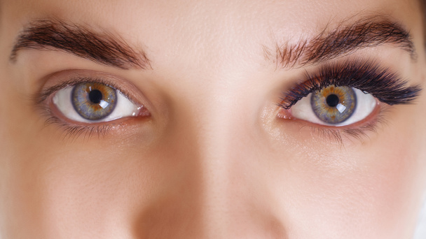Eyelash Extension Procedure. Woman Eye with Long Blue Eyelashes. Ombre effect. Close up, selective focus. - Foto, imagen