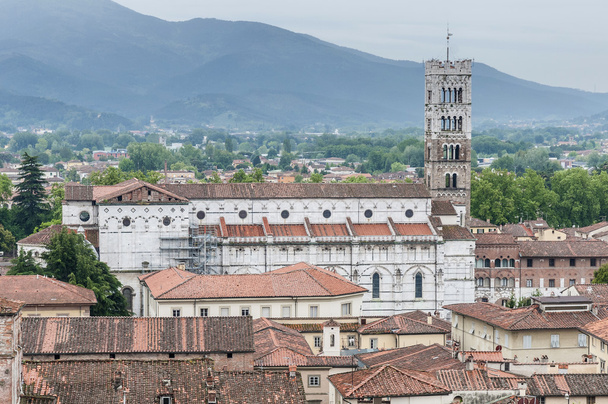 General View of Lucca in Tuscany, Italy - Photo, Image