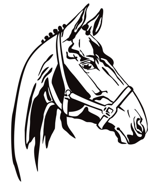 ベクトル装飾馬3 - ベクター画像