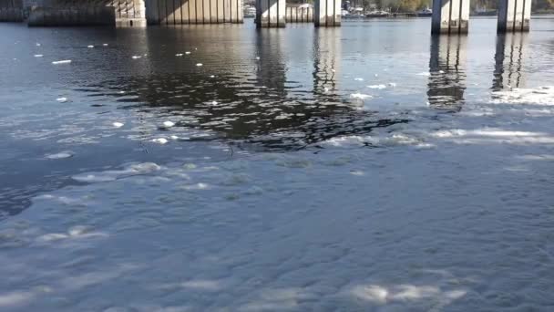 White foam on summer river near shore under bridge. Flakes of foam like snow, environmental disaster - Video, Çekim