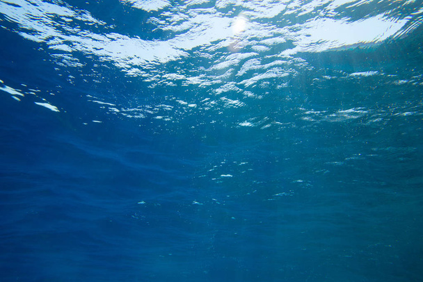 Транквільська підводна сцена з копіювальним простором
 - Фото, зображення
