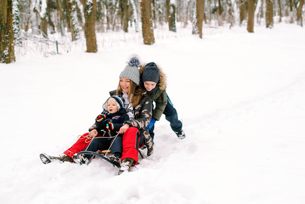 Família feliz dirigindo trenó na neve. Mãe e filhos se divertindo no inverno. Boas férias de inverno
 - Foto, Imagem